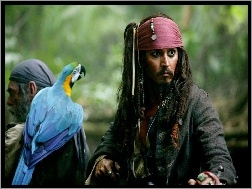 papuga, piraci_z_karaibow_2, Johnny Depp